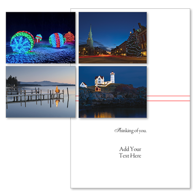 Holiday Lights Variety Pack (Type Only)